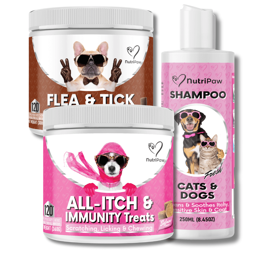 Flea & Itch Kit