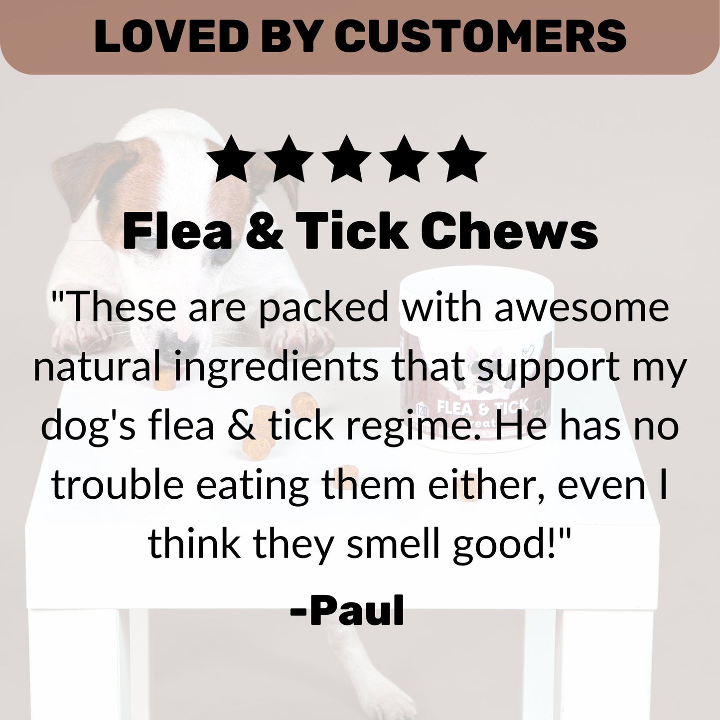 Flea & Tick Treats