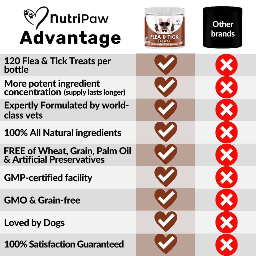 Flea & Tick Treats