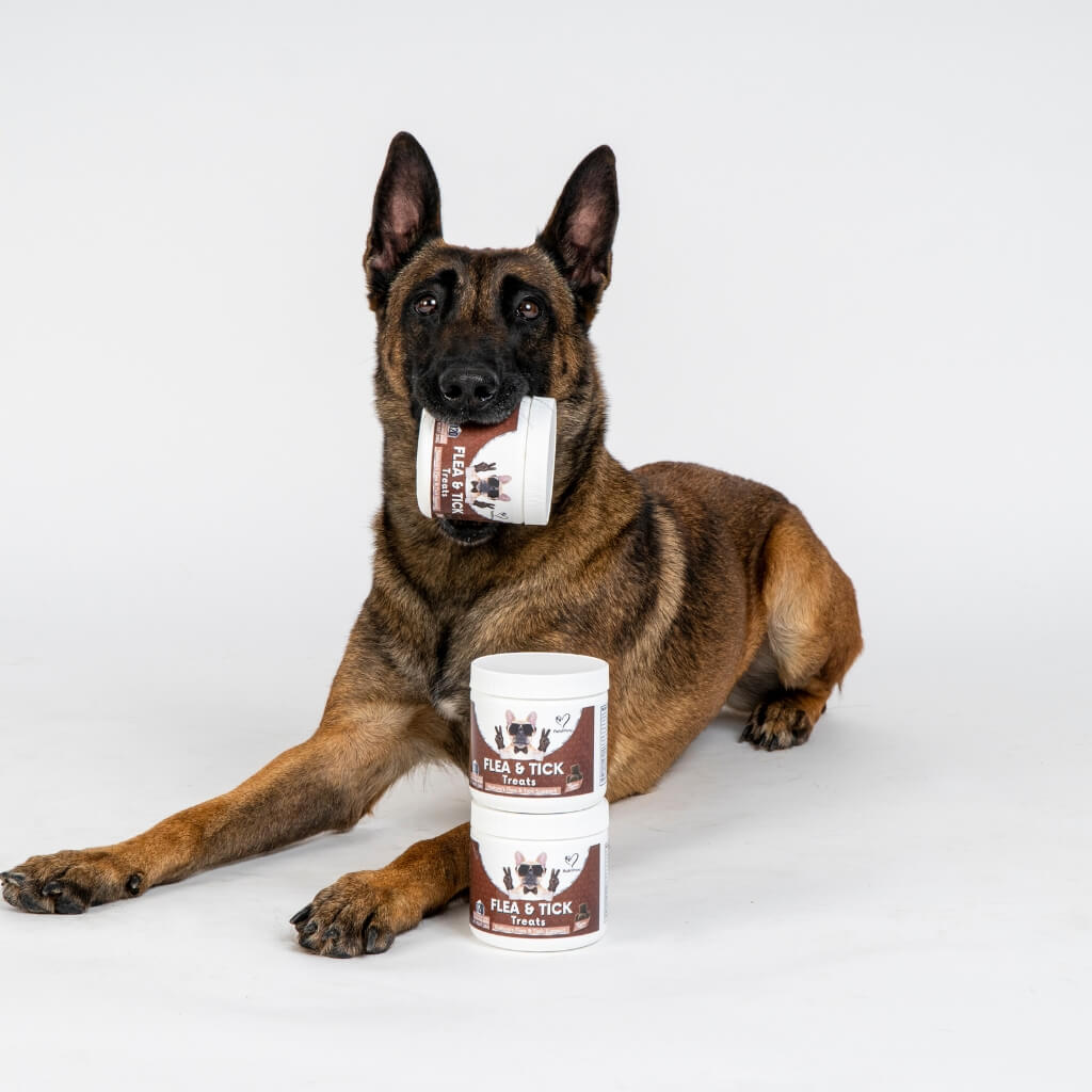 Flea & Tick Treats