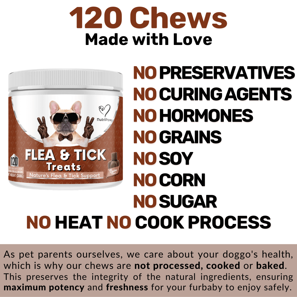 Flea & Tick Treats