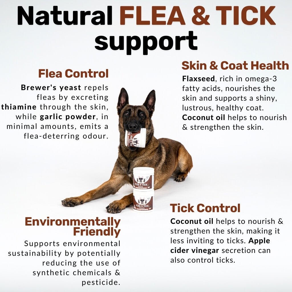 Flea & Tick Treats