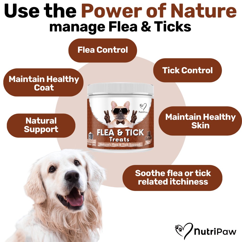Flea & Tick Treats