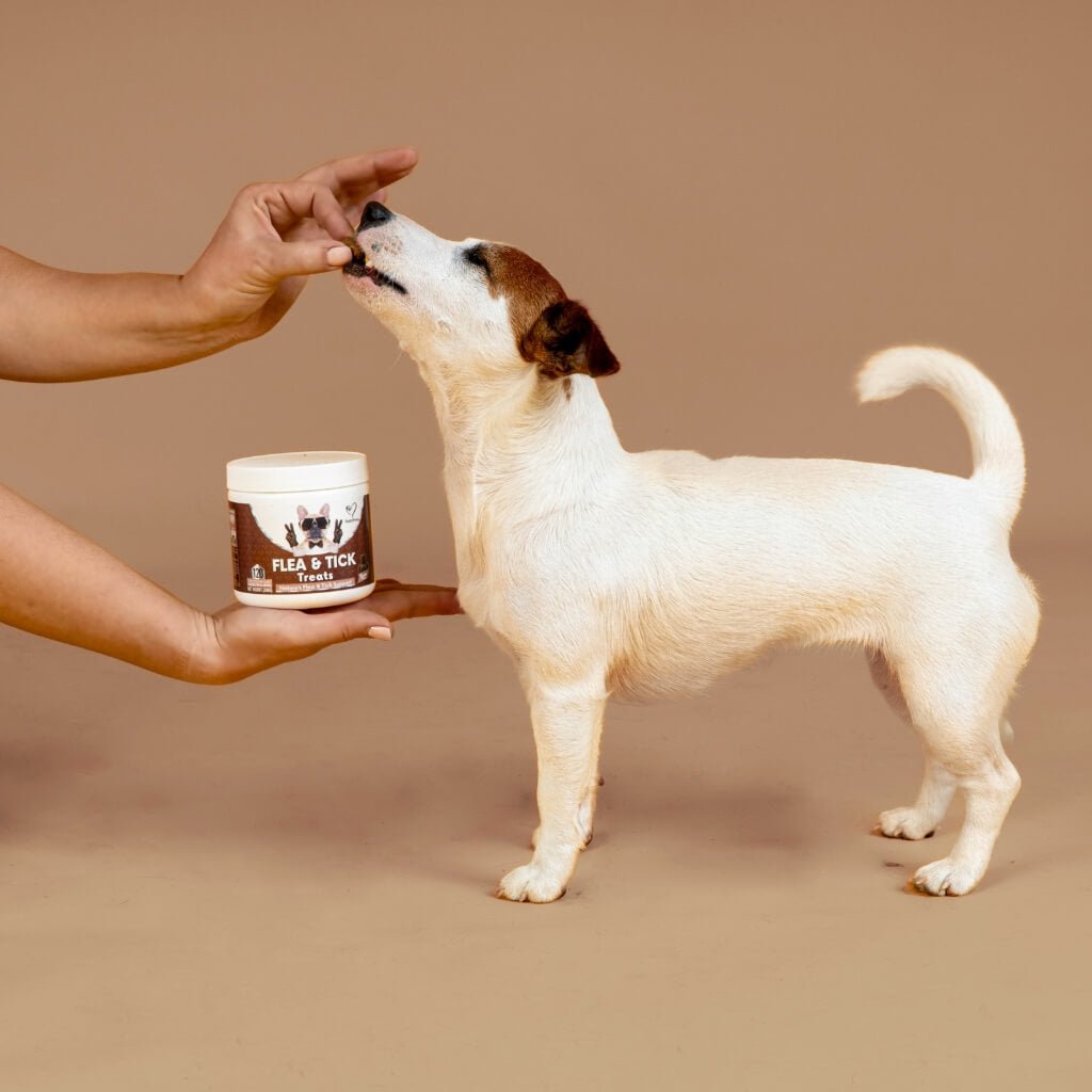 Flea & Tick Treats