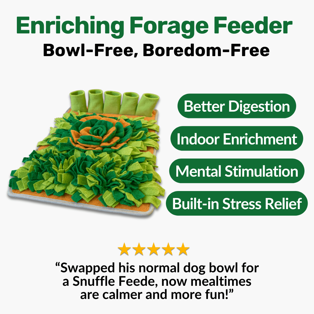 Forage Feeder