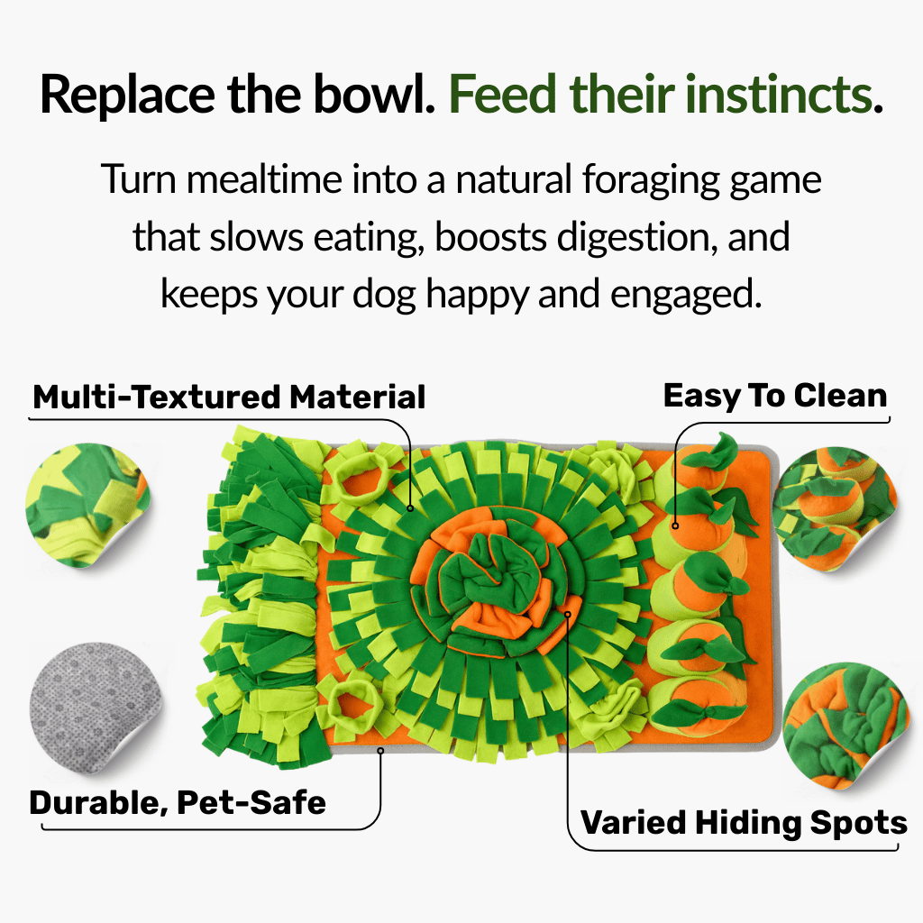 Forage Feeder