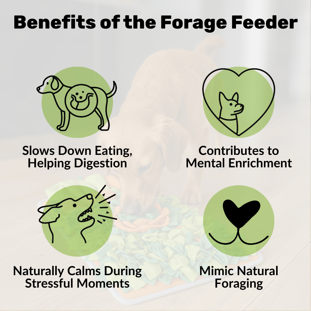 Forage Feeder