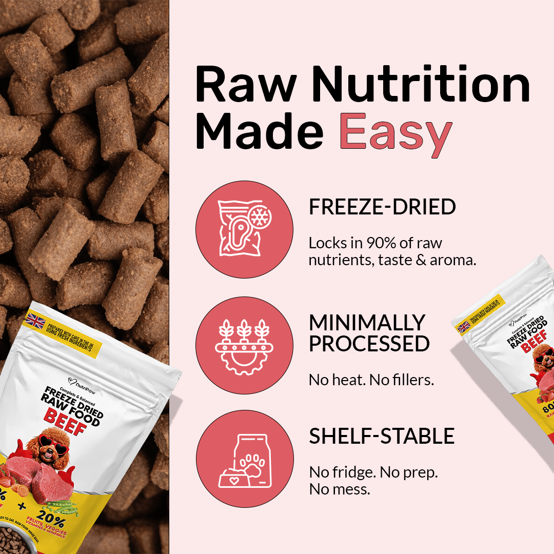 Freeze Dry Raw Beef