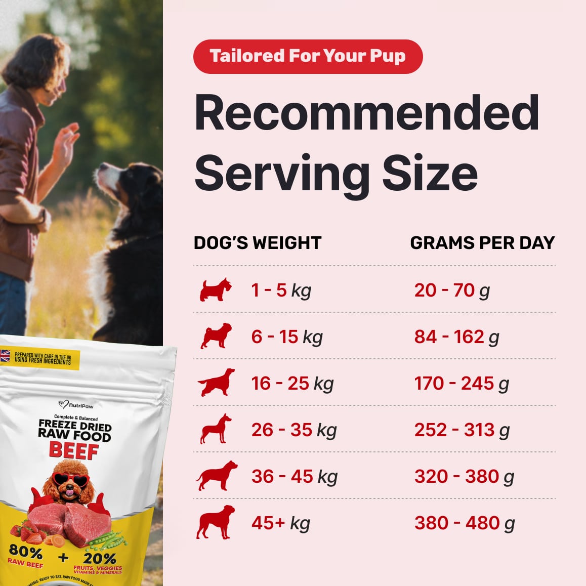 Freeze Dry Raw Beef
