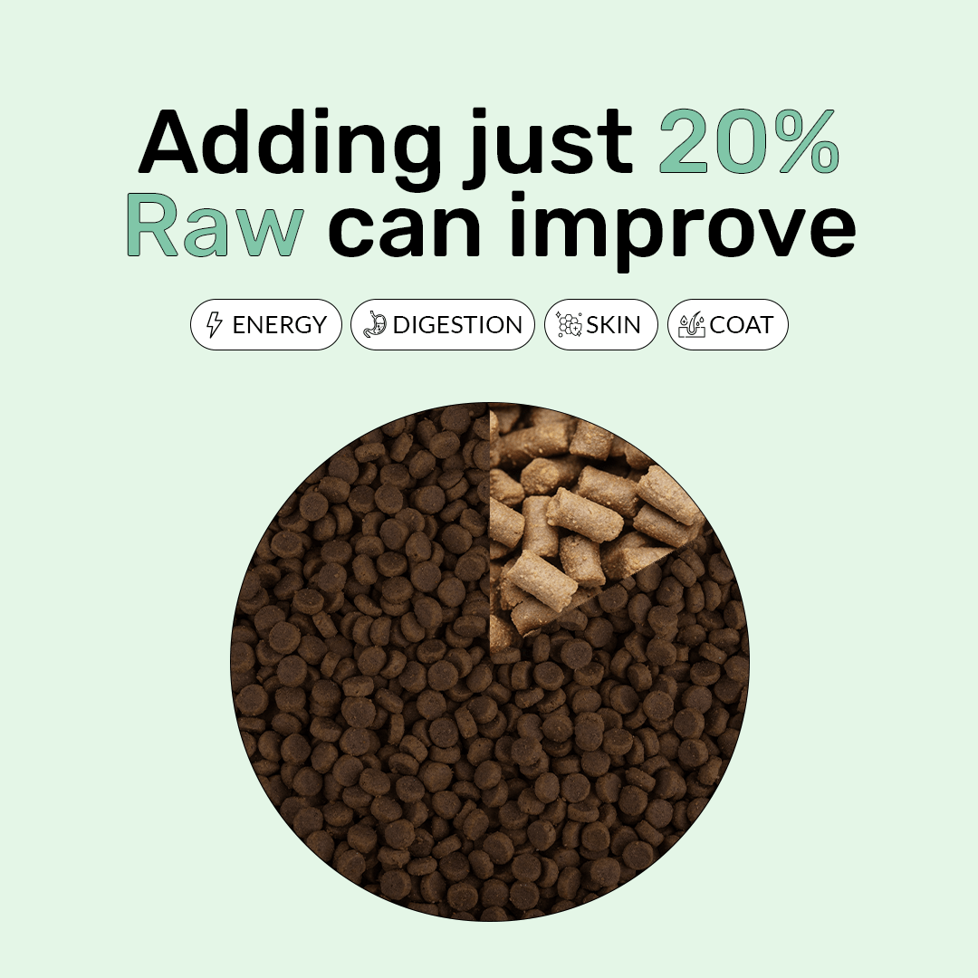 Freeze Dry Raw Chicken - Offer