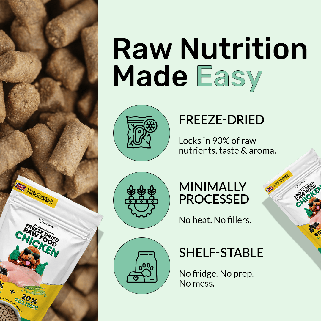 Freeze Dry Raw Chicken - Offer