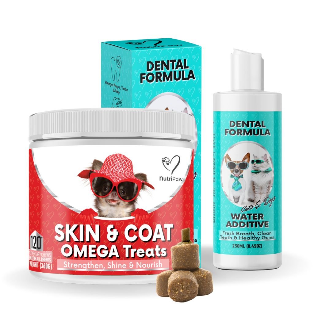 Gleam & Guard Pack