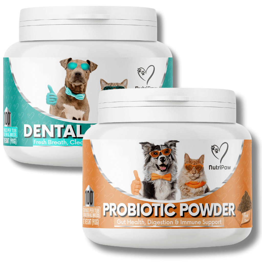 Gut & Teeth Powder Kit