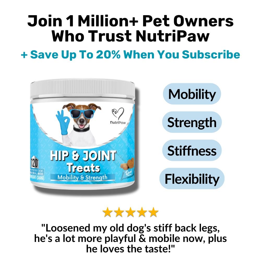 Hip & Joint Treats