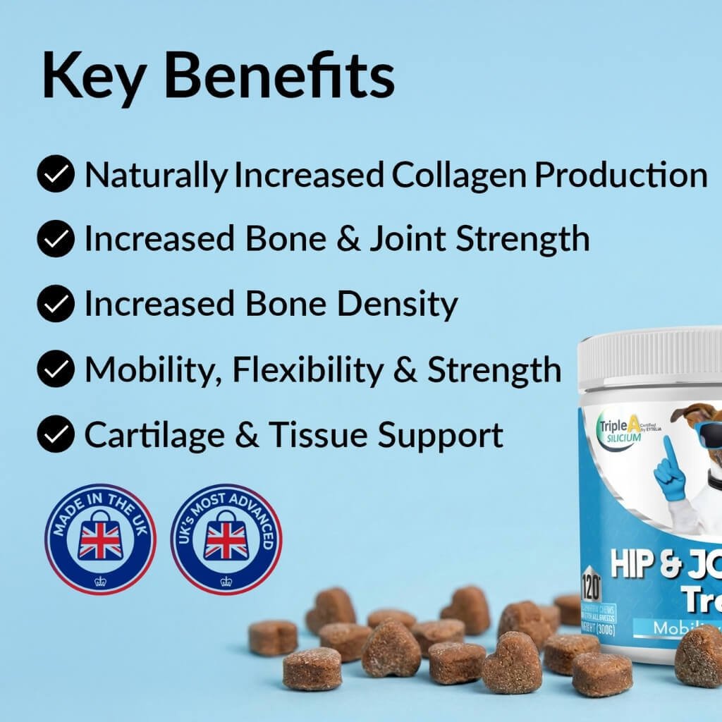 Hip & Joint Treats Plus - USA Made (10oz)