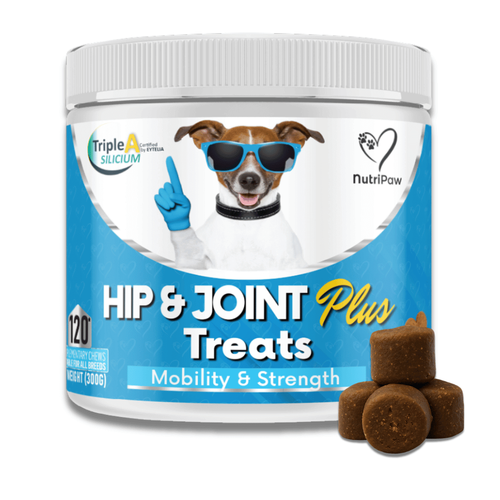 Hip & Joint Treats Plus - USA Made (10oz)