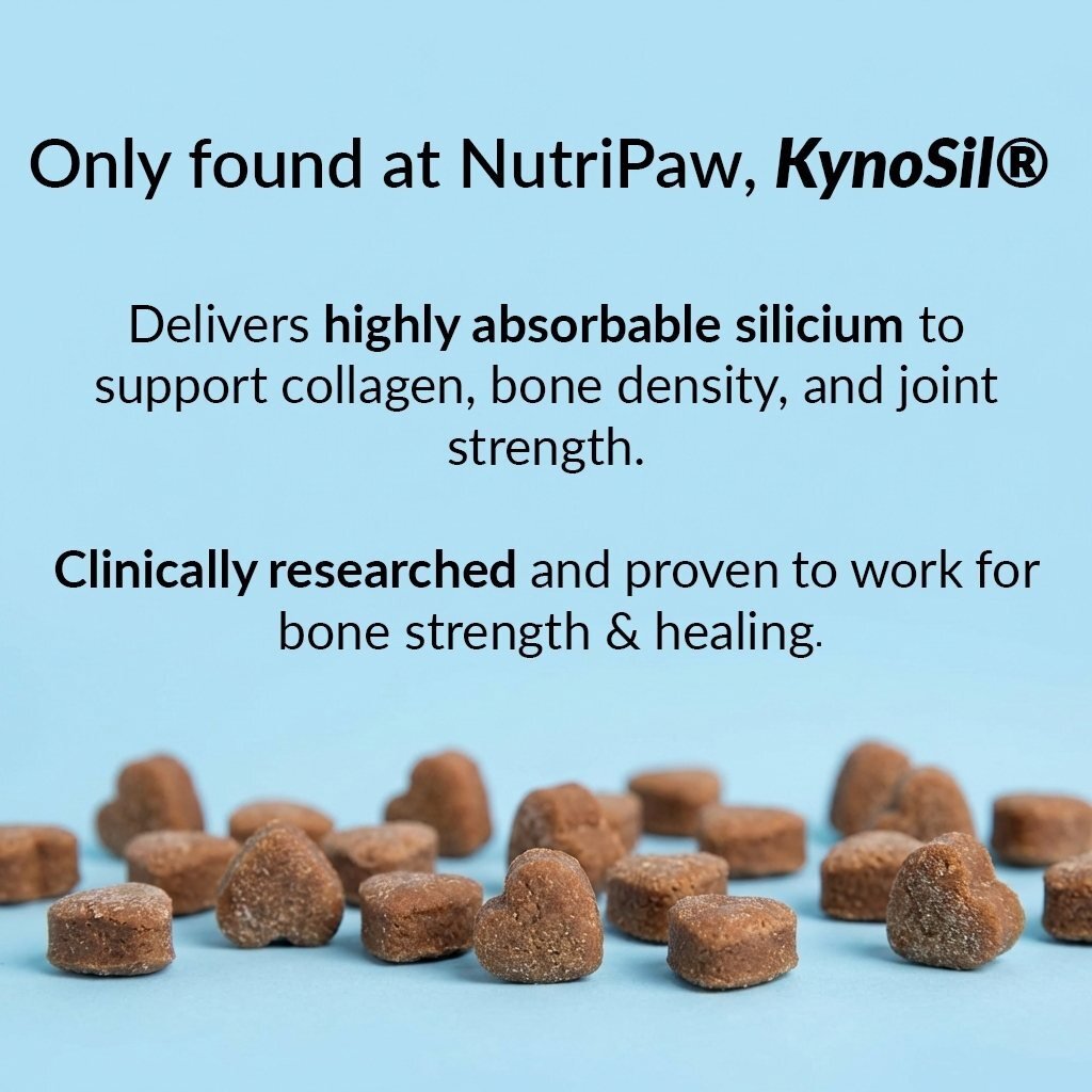 Hip & Joint Treats Plus - USA Made (10oz)