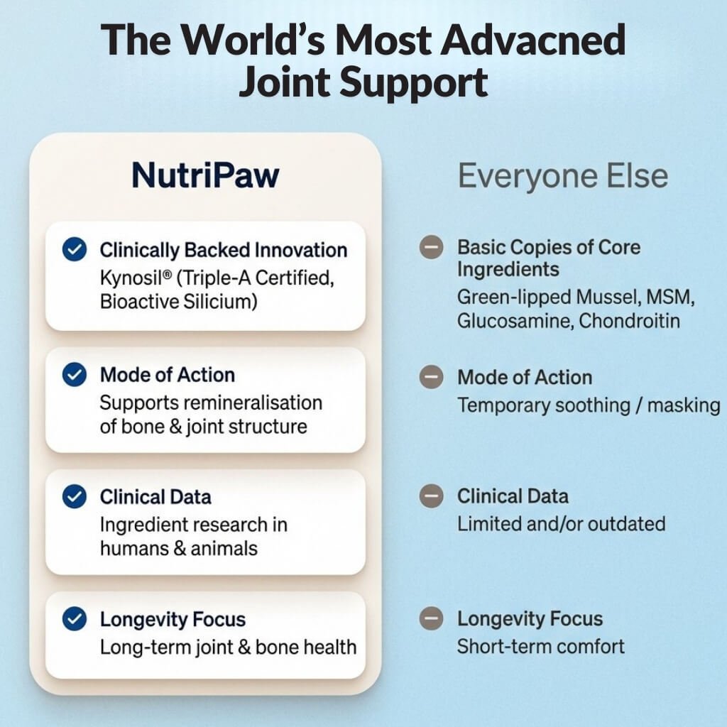 Hip & Joint Treats Plus