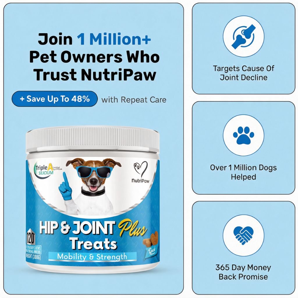 Hip & Joint Treats Plus - USA Made (10oz)