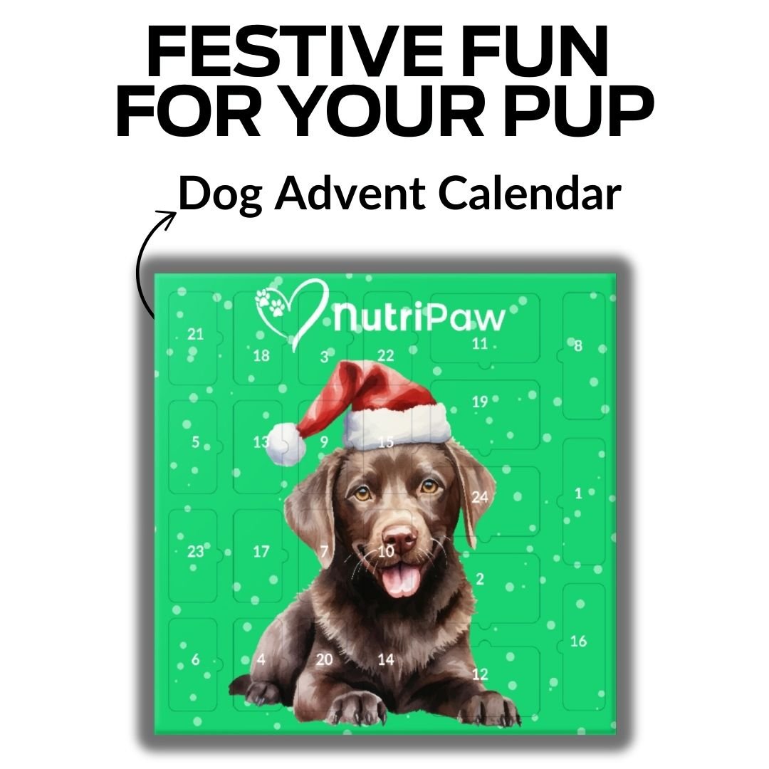 Holiday Treat Bundle