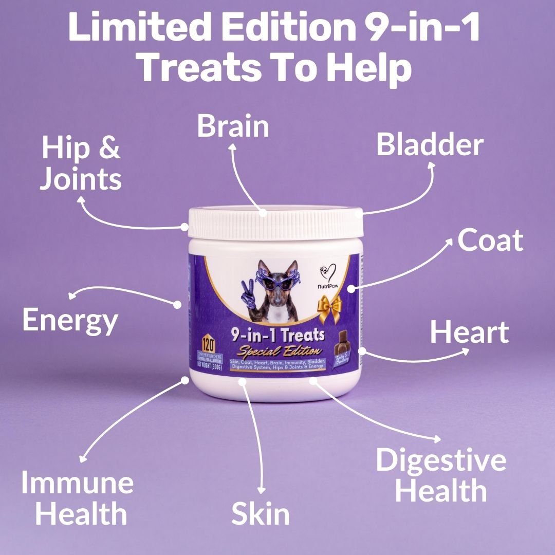 Holiday Treat Bundle