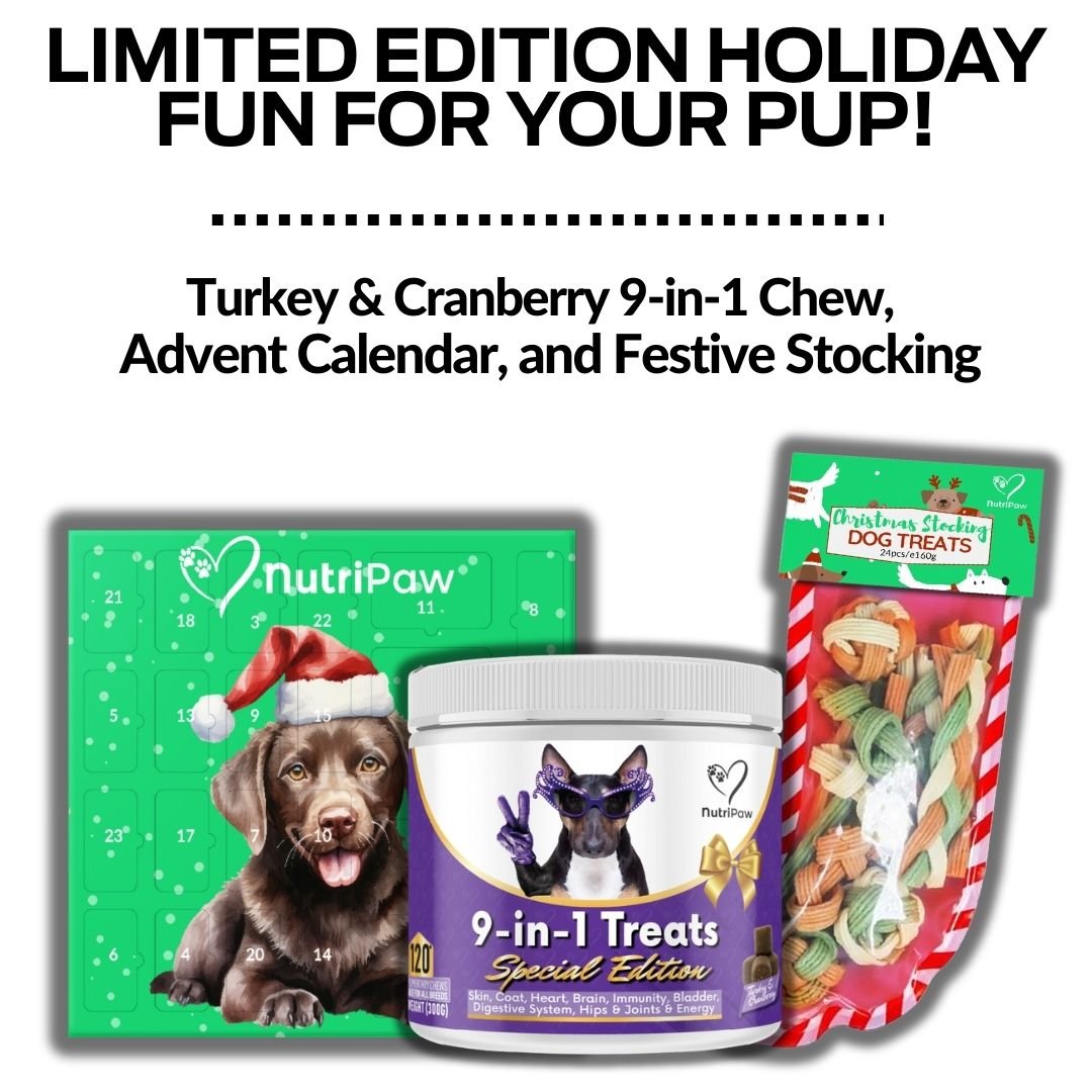 Holiday Treat Bundle
