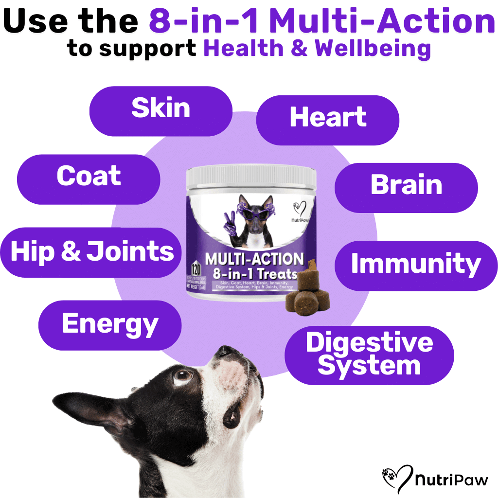 Itch & Wellness Kit