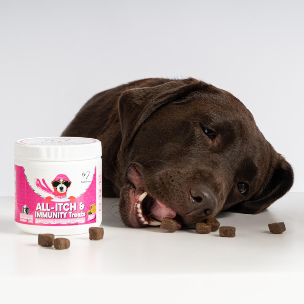Itchy Dog Kit