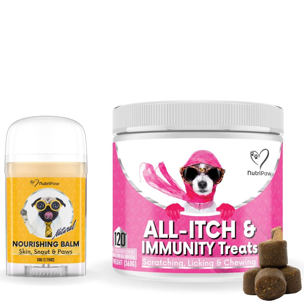 Itchy Dog Kit