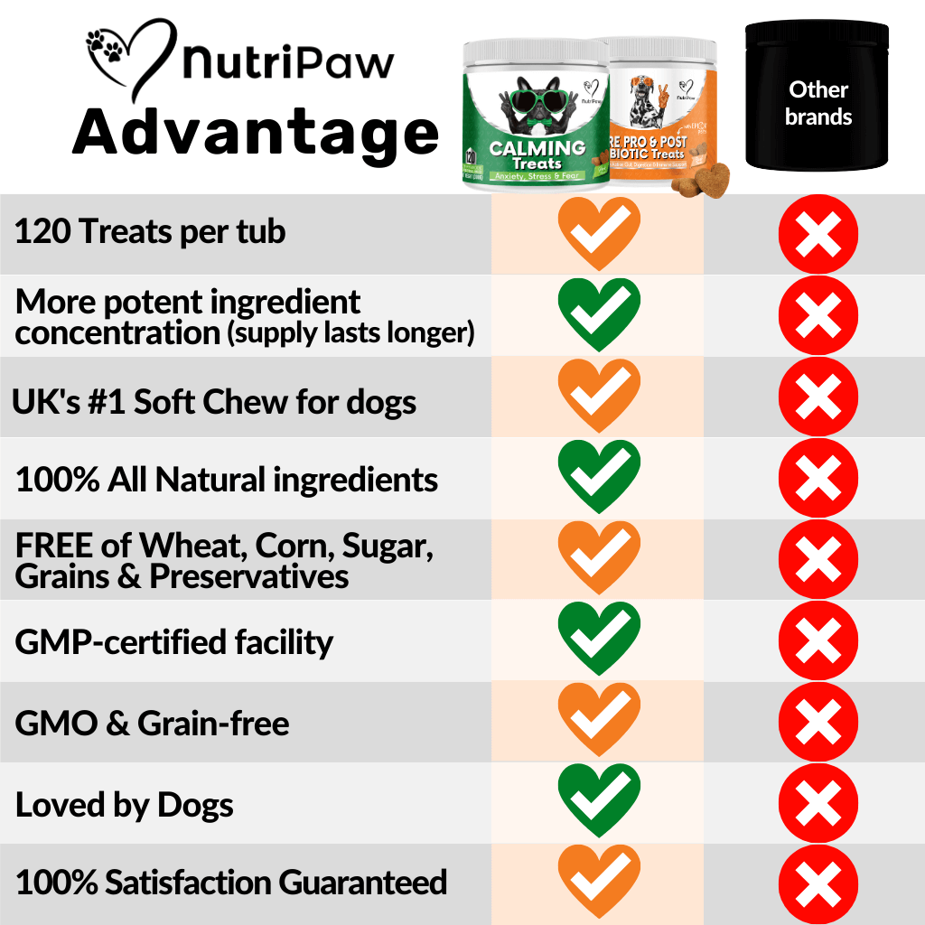 Mind, Body & Gut Kit