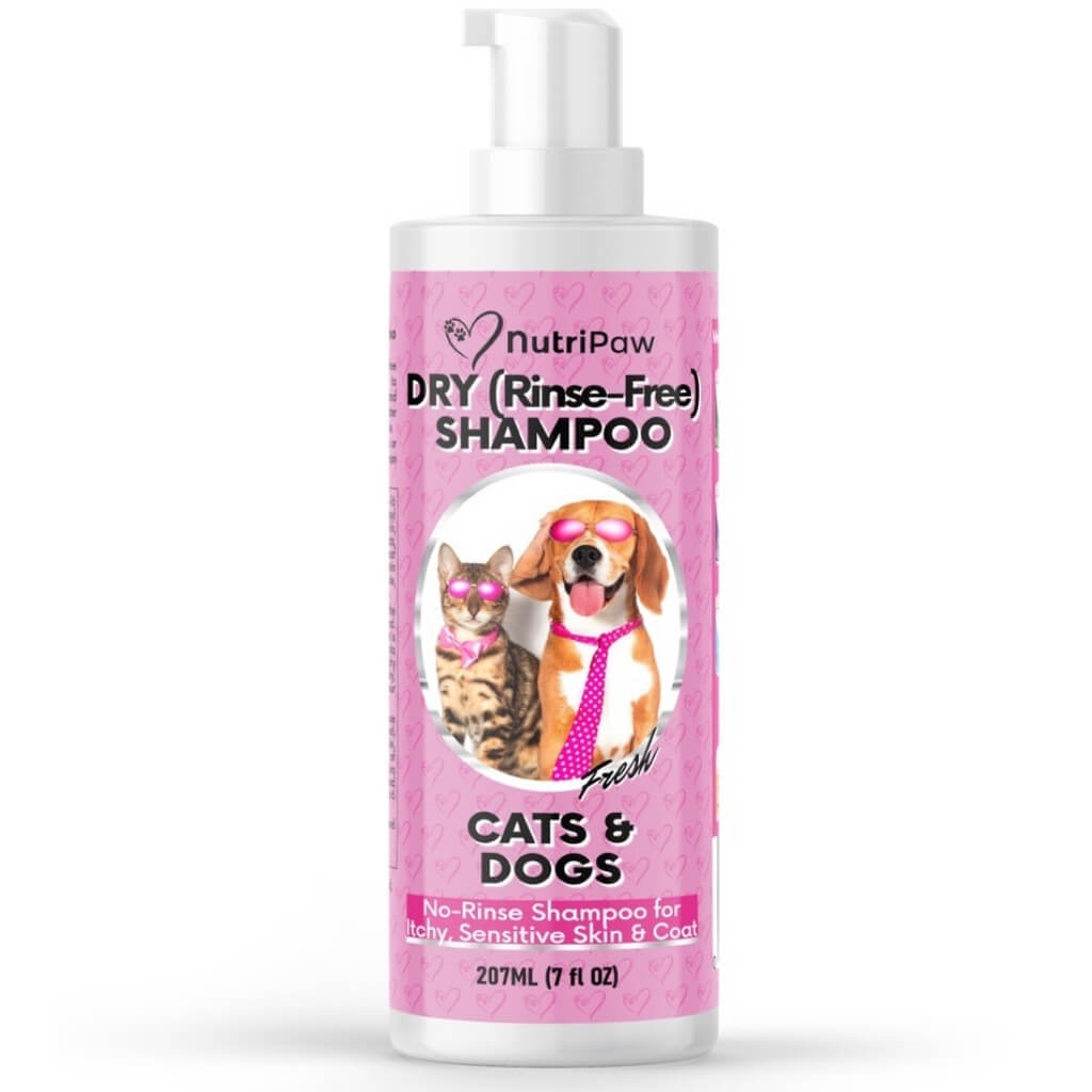 No-Rinse Skin & Coat Foam