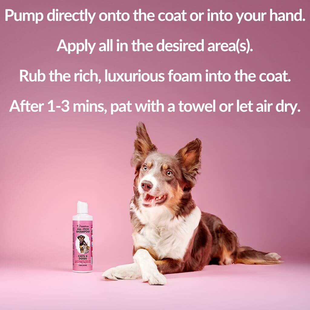 No-Rinse Skin & Coat Foam