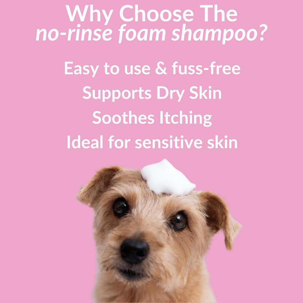No-Rinse Skin & Coat Foam