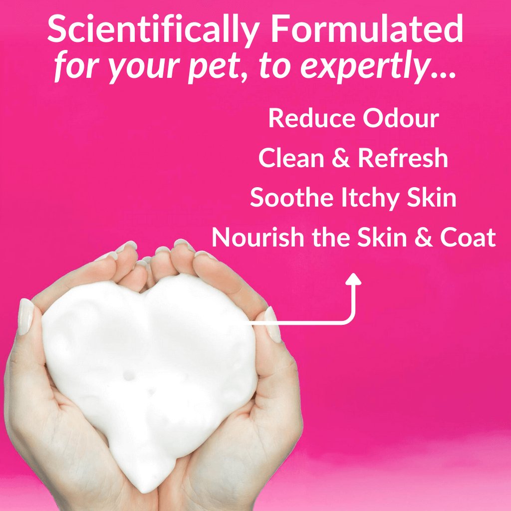 No-Rinse Skin & Coat Foam