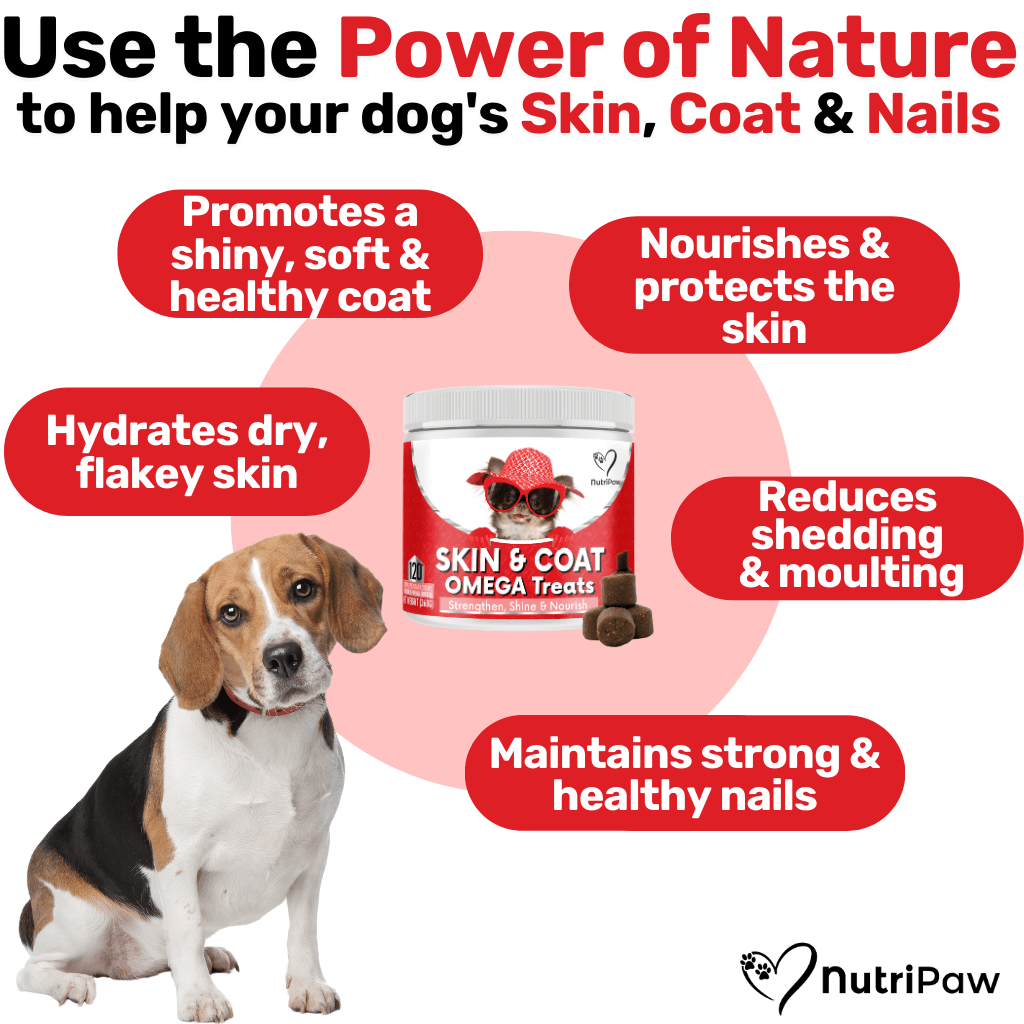 Nurture & Nourish Pack