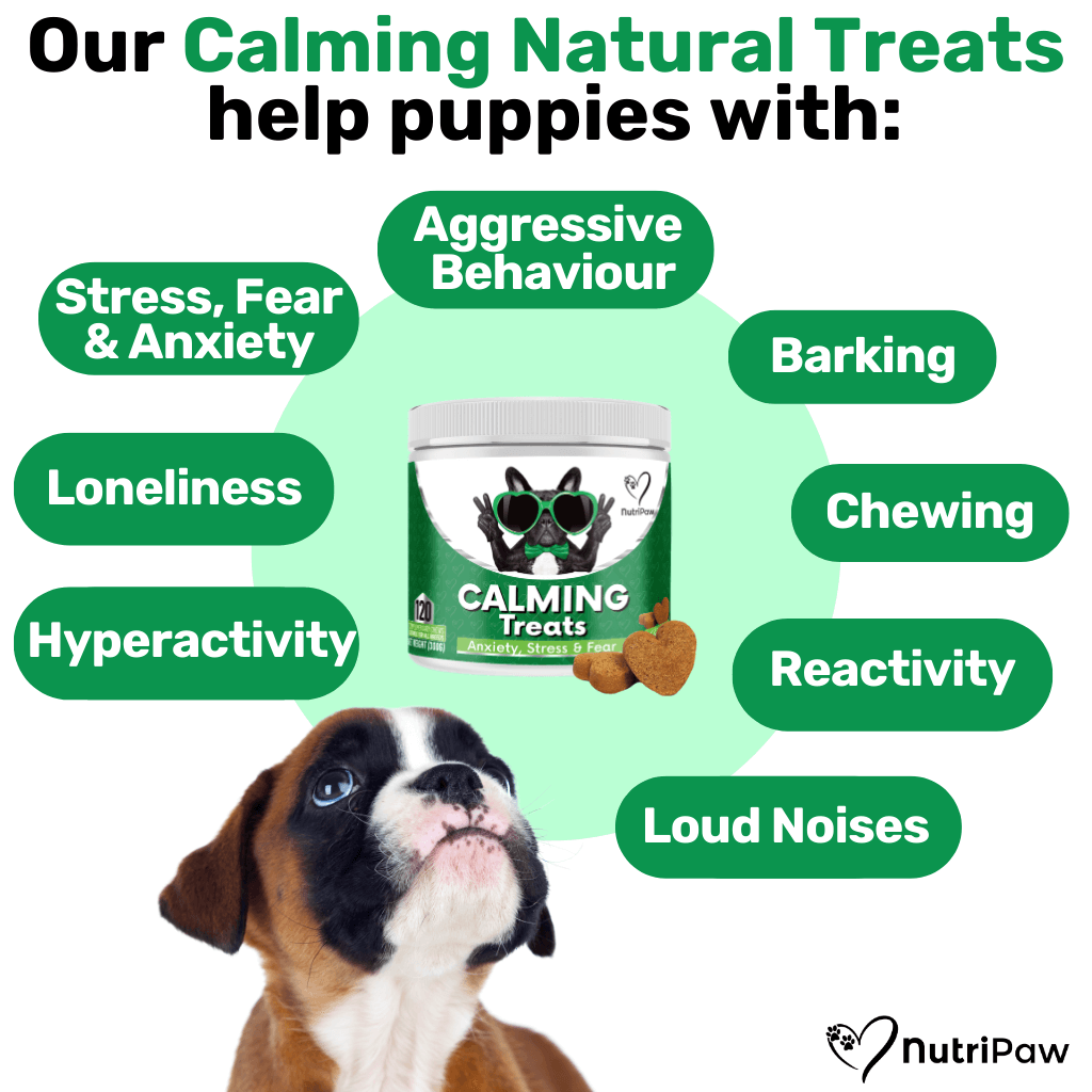 Nurture & Nourish Pack