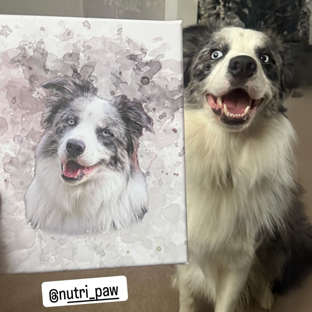 NutriPaw Personalised Pet Portrait