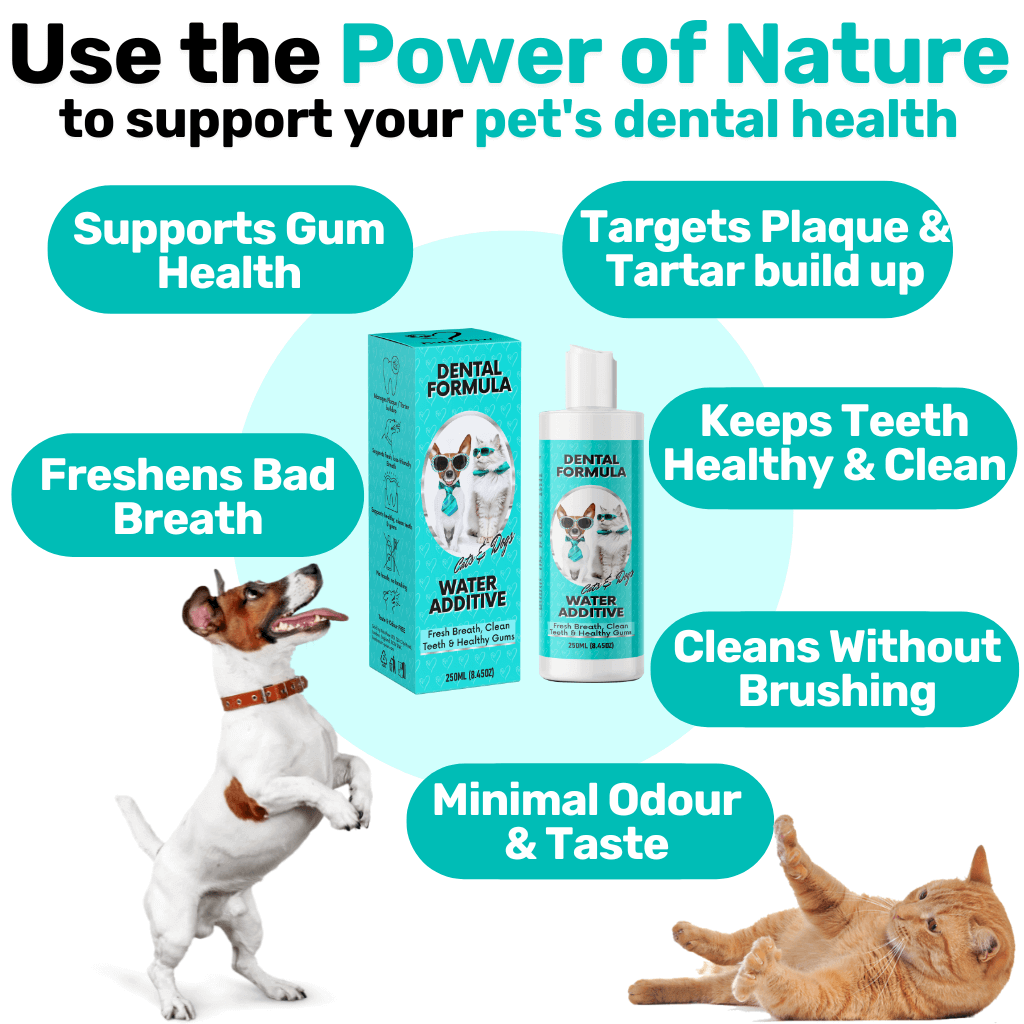 NutriPaw's #1 Kit