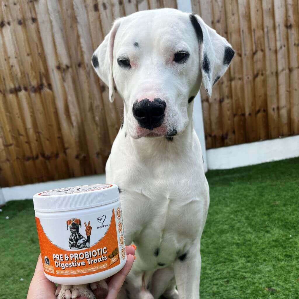 NutriPaw's #1 Kit