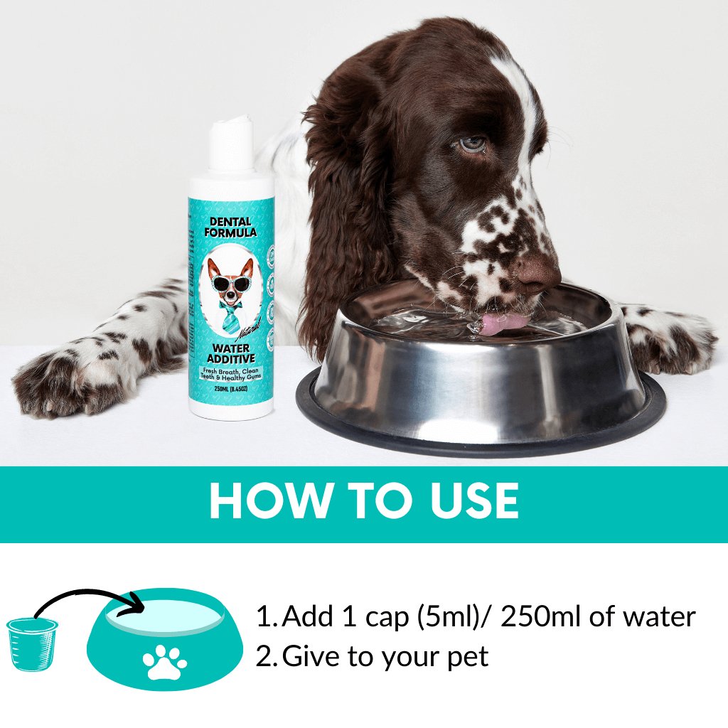 NutriPaw's #1 Kit
