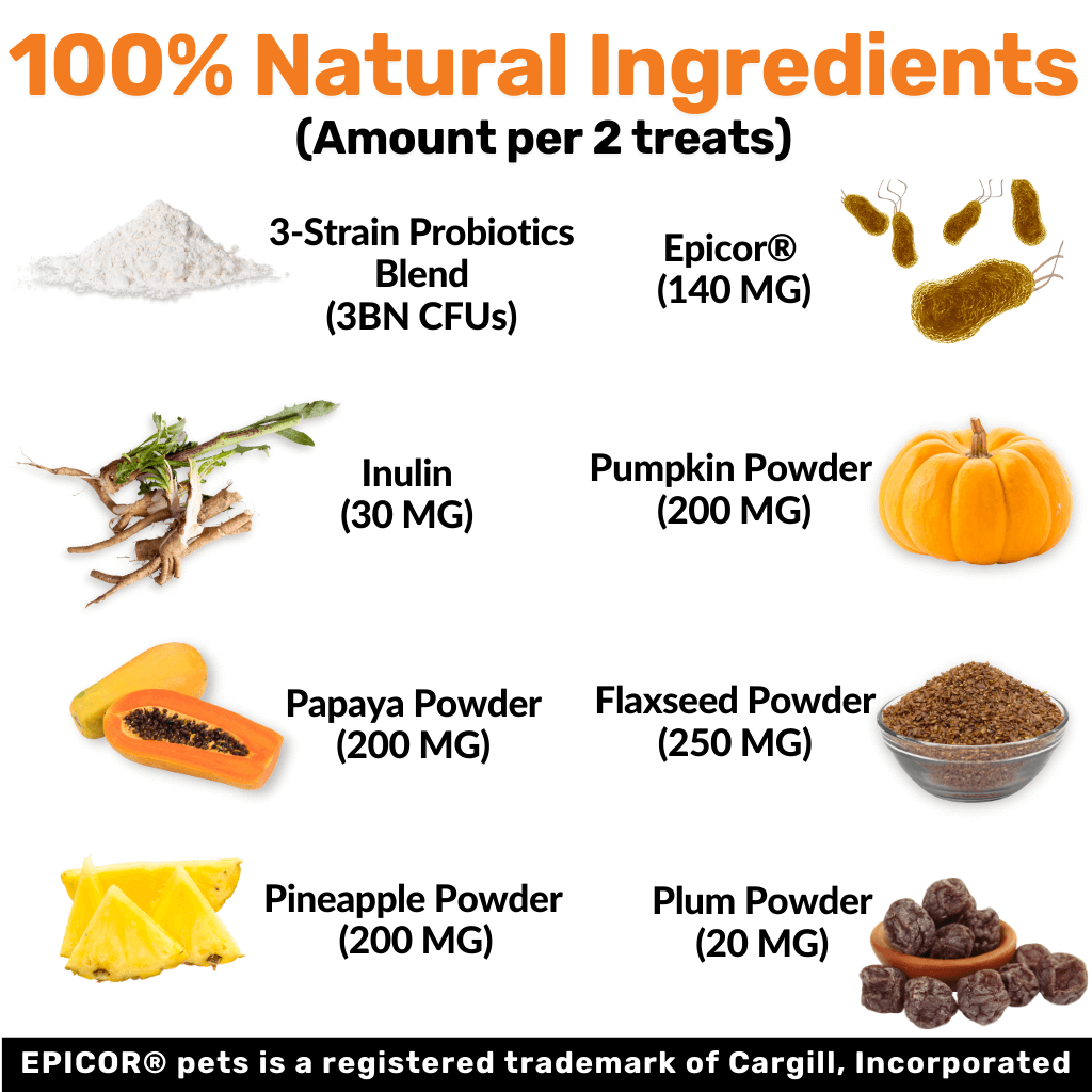 NutriPaw's #1 Kit