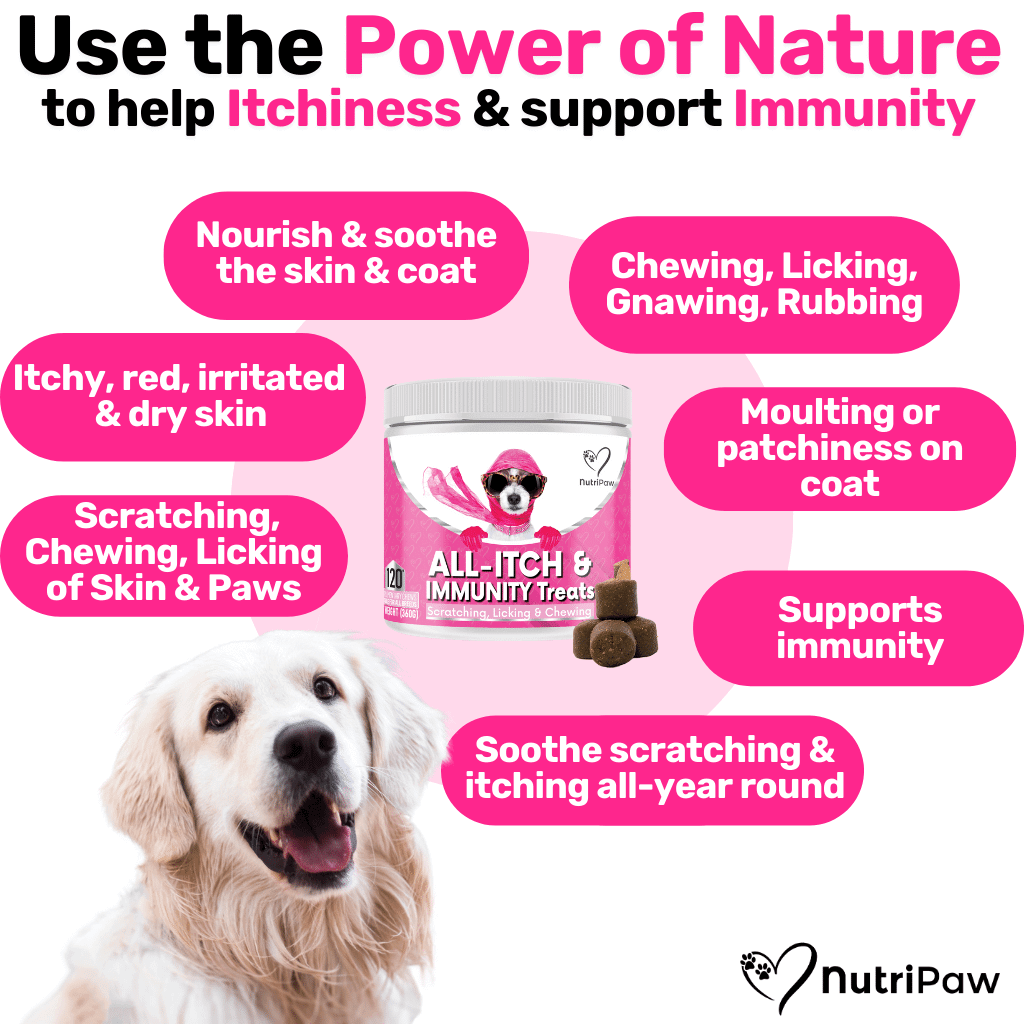 NutriPaw's #1 Kit
