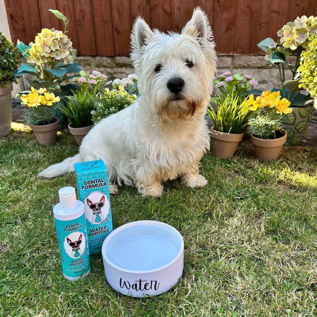 NutriPaw's #1 Kit