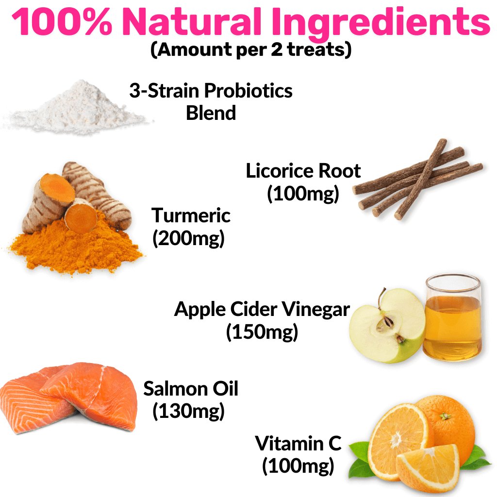 NutriPaw's #1 Kit