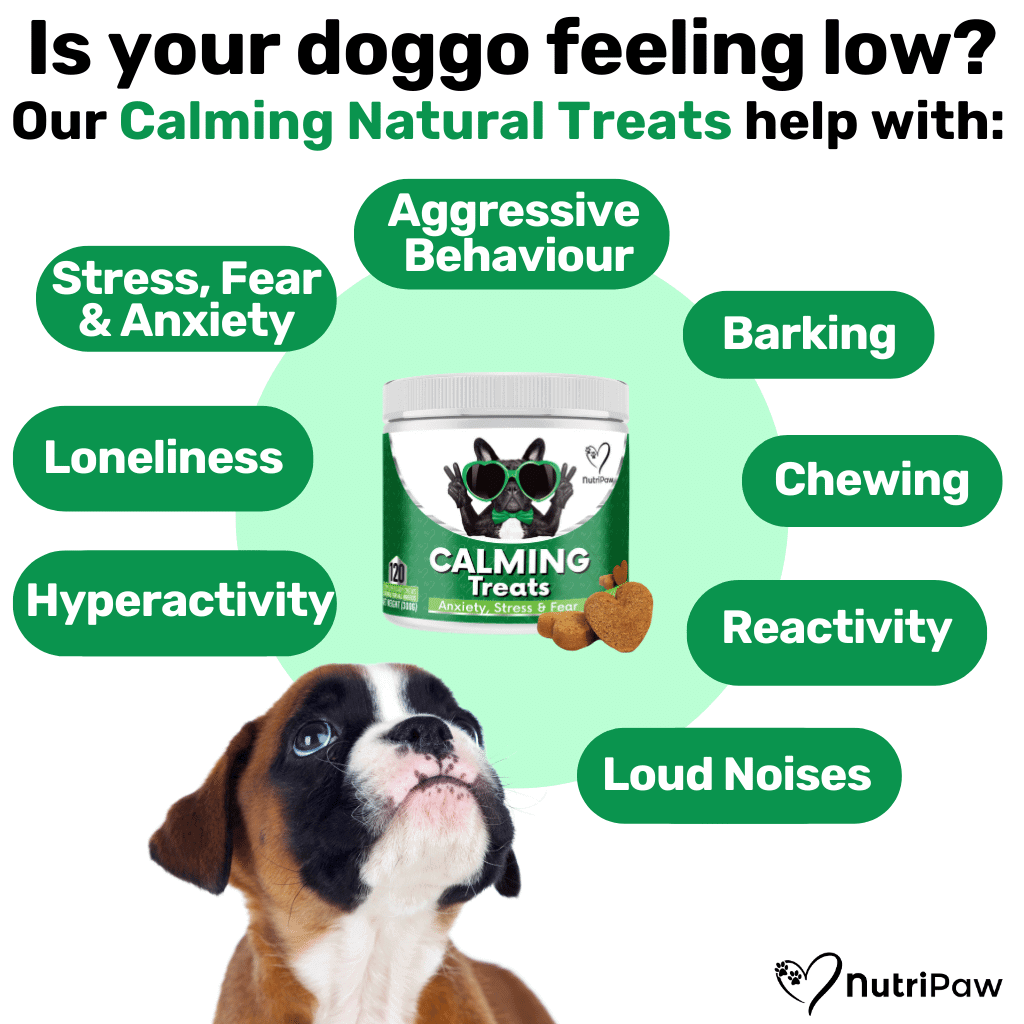 NutriPaw's #1 Kit