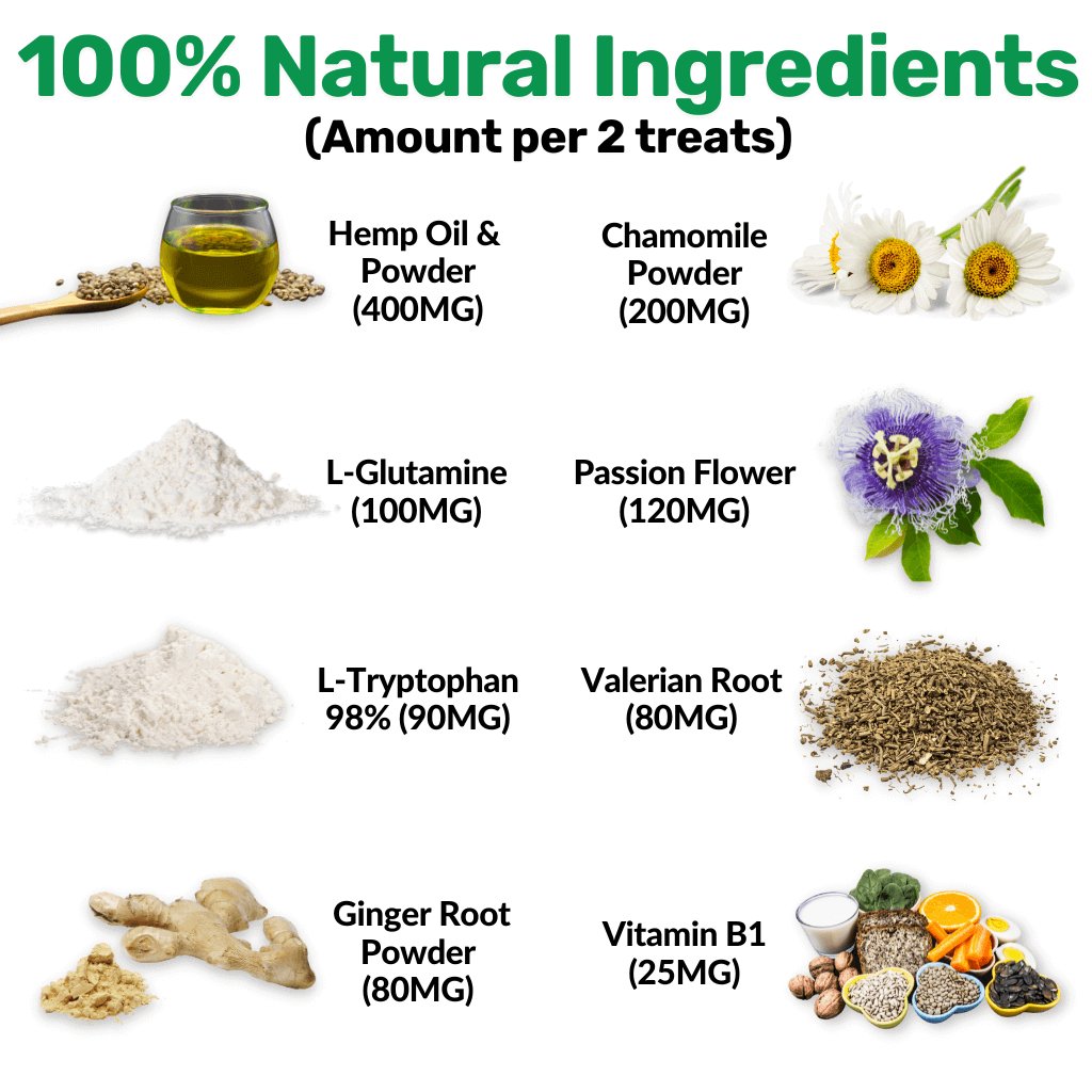 NutriPaw's #1 Kit