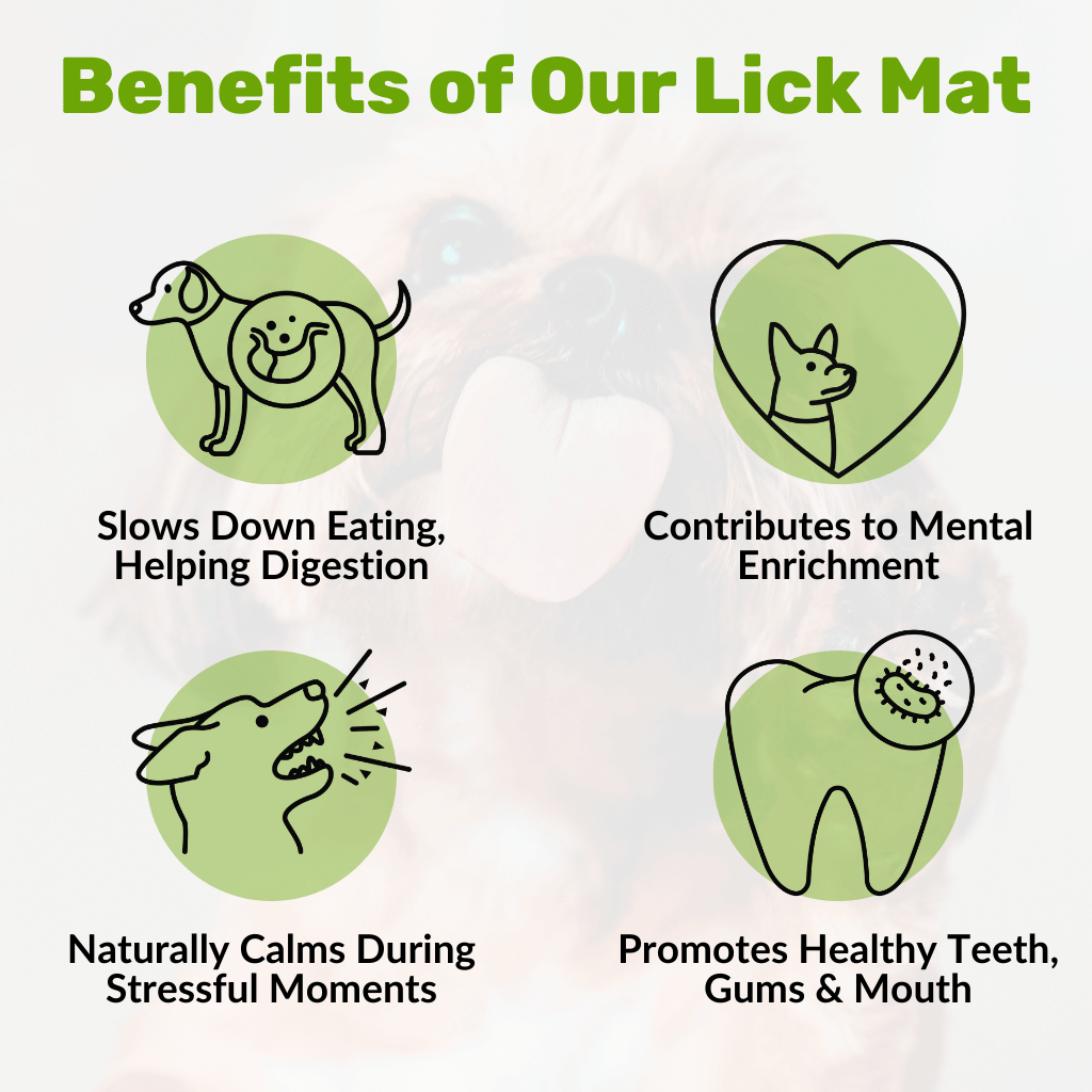 Pet Lick Mat