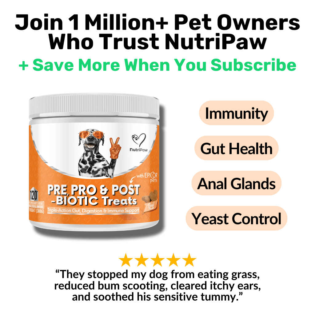Pre, Pro & Postbiotic Digestive Treats