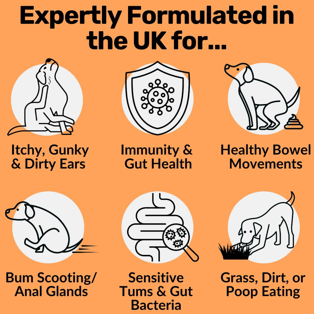 Pre, Pro & Postbiotic Digestive Treats
