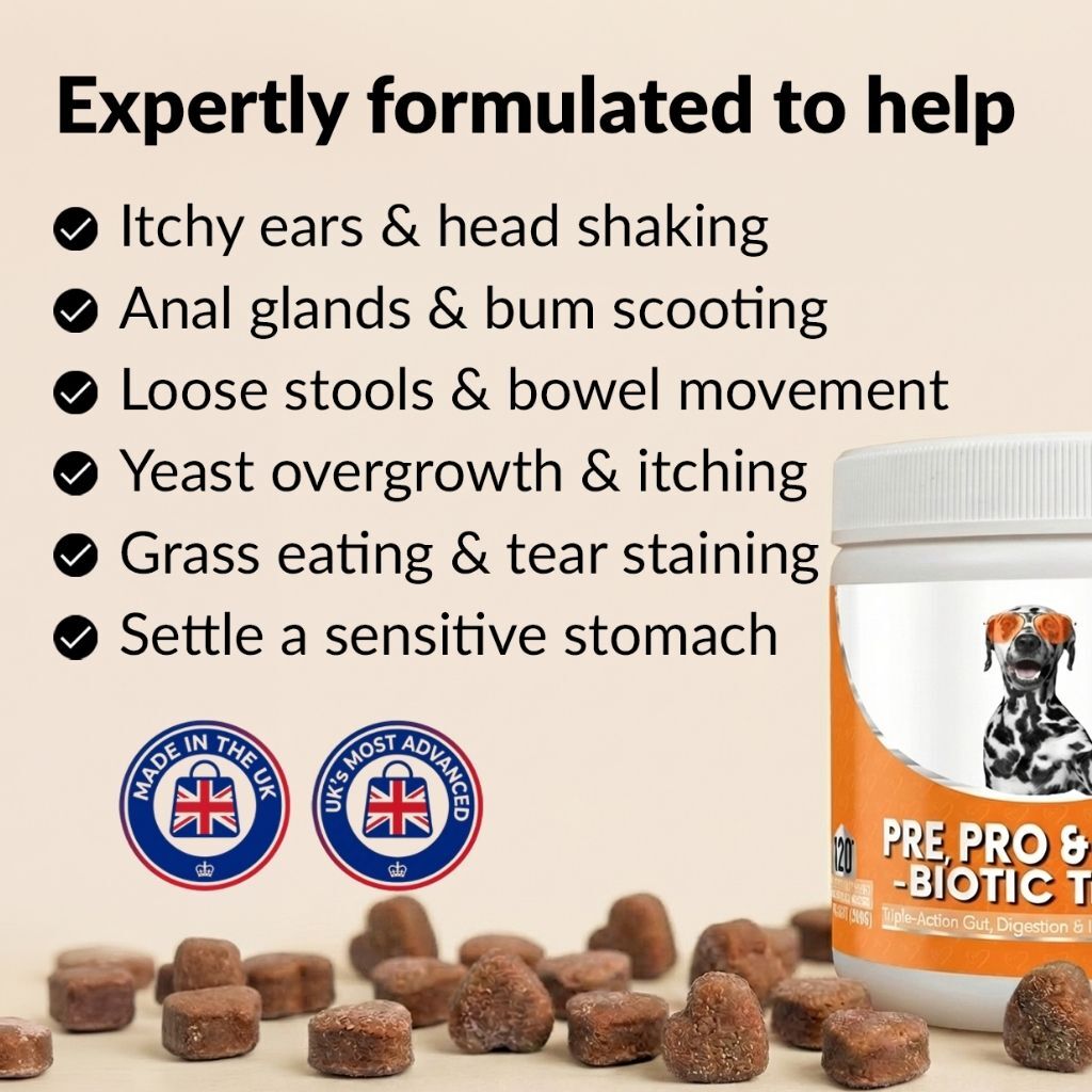 Pre, Pro & Postbiotic Digestive Treats